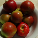 Äpfel